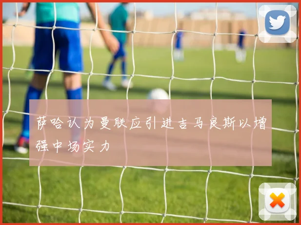 萨哈认为曼联应引进吉马良斯以增强中场实力
