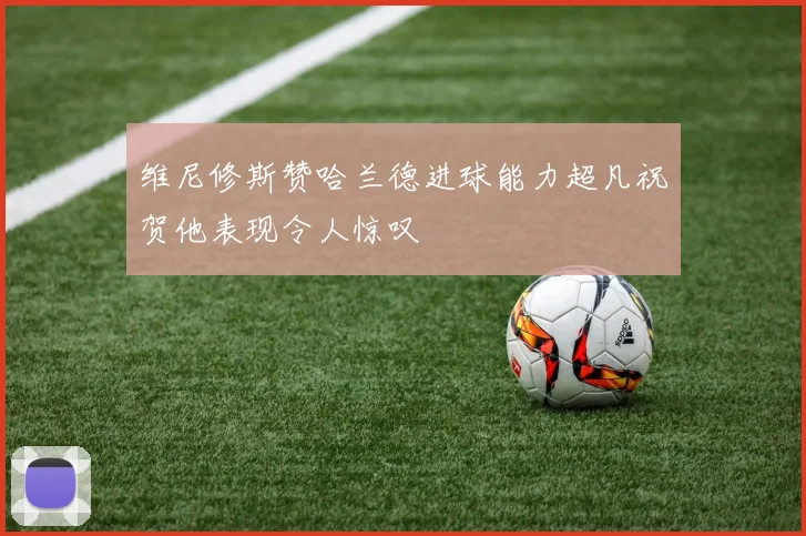 维尼修斯赞哈兰德进球能力超凡祝贺他表现令人惊叹